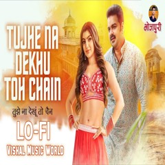 Tujhe Na Dekhu To Chain (Slow & Reverb)