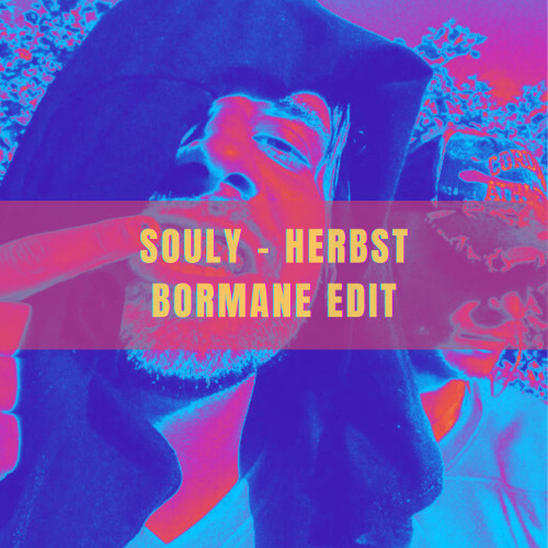 Souly - Herbst (BORMANE Trance edit)