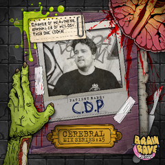 Cerebral Mix Series 15 - C.D.P