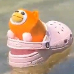 rate how mentally ill i am based on my not-loud liked songs