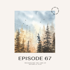 Episode 67 - Recognizing The Laws of Nature at Play in Your Life