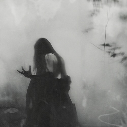 LABYRINTH w/ NIAGATA