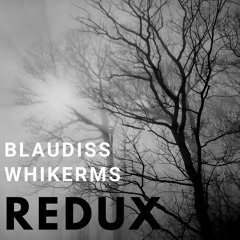 BlauDisS x whikerms - redux