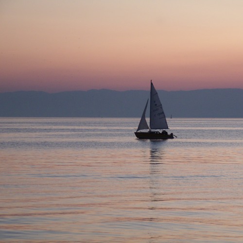 LE BATEAU ROSE
