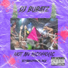 Not An Alcoholic | Schranzhouse Mix FREE DL