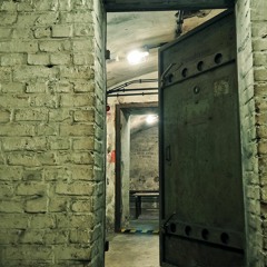 Bunker Sounds 175