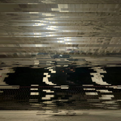 Mama Raised a Champion