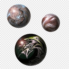 they took everything