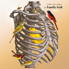 Played & Liked 2025-09