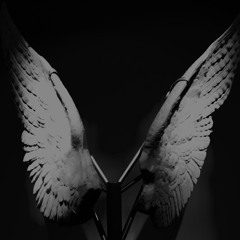 Dona Eis Requiem