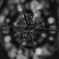 PREMIERE⚡️Desirée Falessi - Drift Signal (Cia Rebeck Remix) [Electric Shapes]