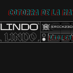 23 DIAZ -LINDO LINDO- (Audio Official)