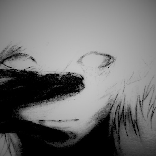 Can Only Win (snowman)