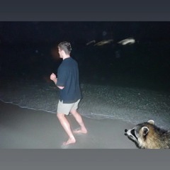 shrooms02