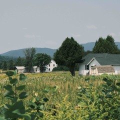 a heart that’s full up like a landfill