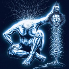 whole lotta 2! (p. niche)