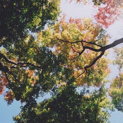 Does growing up change your body, or also your soul?