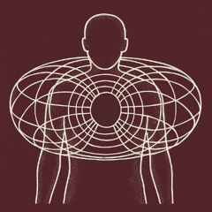 From The Portal