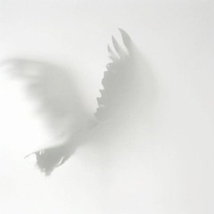 upload 27