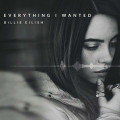 Billie Eilish - Everything I Wanted (Shehzad's Remix)