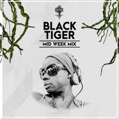 Mid Week Mix - Guest Mixes