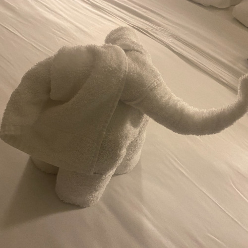 Black N Blues Chopped