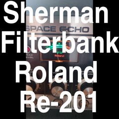 Sherman Filterbank × Roland Re-201