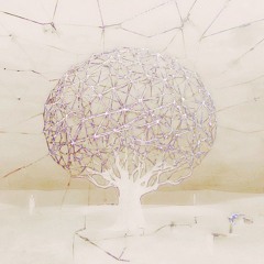netSpleen