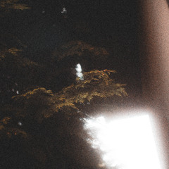 meltsu - a place called heaven