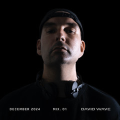 DAVID WAVE | DECEMBER 2024 MIX 1