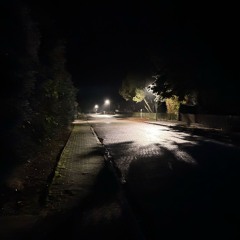 Lovis - Immer wenn ich fall (H-K-S Remix).mp3