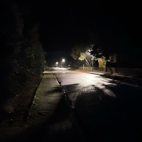 Lovis - Immer wenn ich fall (H-K-S Remix).mp3