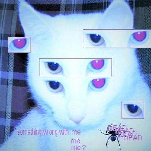 Stream [free for profit] jungle x liquid dnb x drum and bass type beat