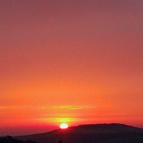 إن الله لا يخفى عليه شيء في الأرض و لا في السماء - عبد الرحمن مسعد