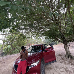 Melvin Ternura - Ministre de l’intérieur (exclu by Tobo).m4a