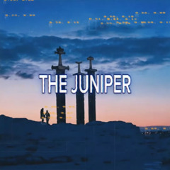 Raul Apxpei x NBSPLV - THE JUNIPER (Remix)