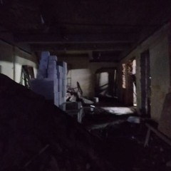 bexoss+vlilzen - opphuntin (bexoss)