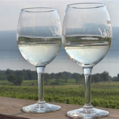 Review Special Price Seneca Lake Wine Tasting & Tour