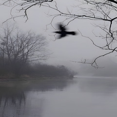 Я не чувствую всех их