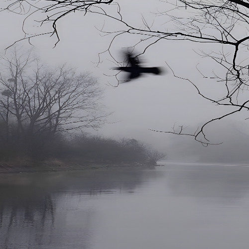 Я не чувствую всех их