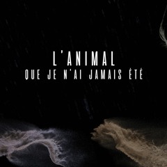 ANIMAL - Angoisse