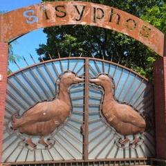 Okujou Beat:  Live concert at Sisyphos, Strand  08.07.2021