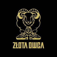 Paluch - Cardio (FIL Remix)