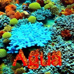 chillin at da reef[waterkaster]