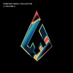 Foreign Family Collective Vol. 2