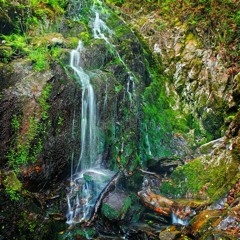 Angel Springs - Joe Hisaishi