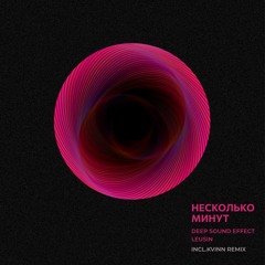 Несколько минут (Kvinn remix)