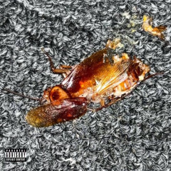 GIRLS️❤️MYSWAG