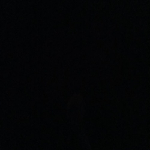 ||••••D𝖆𝖒𝖓W𝖔𝕳W𝖔T𝖞𝖕𝖊S𝖍𝖎 -[𝕸 𝕱 𝕶] x_x