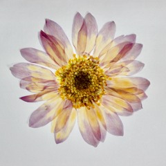 Lens of time Theme song - 12:16:20, 3.16 AM